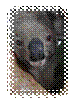 CIMG3973.JPG
