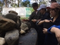 image31 (7)