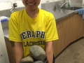 image31 (8)
