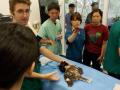 12　カランビン野生動物病院実習