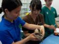 18　カランビン野生動物病院実習