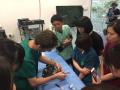 19　カランビン野生動物病院実習