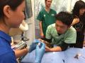 24　カランビン野生動物病院実習