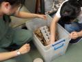 32　カランビン野生動物病院実習