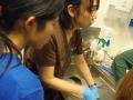 88　カランビン野生動物病院実習