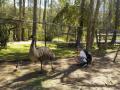 149　デイビッドフレー野生動物公園