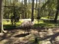 150　デイビッドフレー野生動物公園