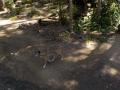 155　デイビッドフレー野生動物公園