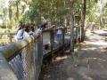 156　デイビッドフレー野生動物公園
