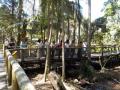 157　デイビッドフレー野生動物公園