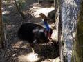159　デイビッドフレー野生動物公園