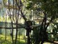 161　デイビッドフレー野生動物公園