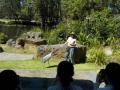 169　デイビッドフレー野生動物公園