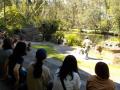 177　デイビッドフレー野生動物公園