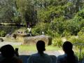 178　デイビッドフレー野生動物公園