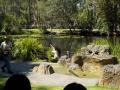 179　デイビッドフレー野生動物公園
