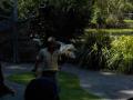 181　デイビッドフレー野生動物公園
