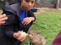 211　野生動物保護/救護施設訪問