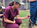 213　野生動物保護/救護施設訪問