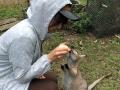 215　野生動物保護/救護施設訪問