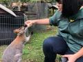 218　野生動物保護/救護施設訪問