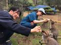 220　野生動物保護/救護施設訪問