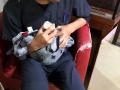 224　野生動物保護/救護施設訪問