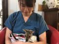 226　野生動物保護/救護施設訪問