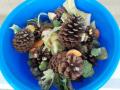 DSCN0095