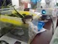 DSCN0229