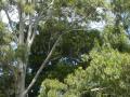 DSCN0432