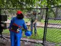 IMG_0342