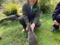 IMG_1018