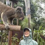 AJWCEF野生動物保護救護トレーニングコース 参加者募集